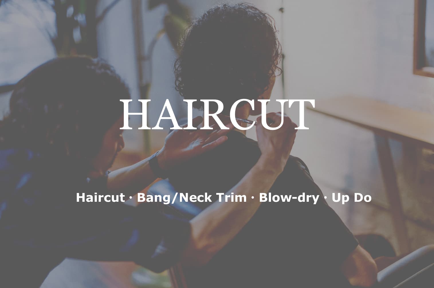 Haircut, Bang/Neck Trim, Blow-dry, Up do